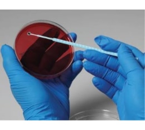 Acinetobacter sp., штамм ATCC 9957, 5 петель, Сulti-Loops, Thermo FS Acinetobacter sp., штамм ATCC 9957, 5 петель, Сulti-Loops, Thermo FS